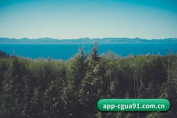 用真相积累路人盘价值 - 长期内容价值积累